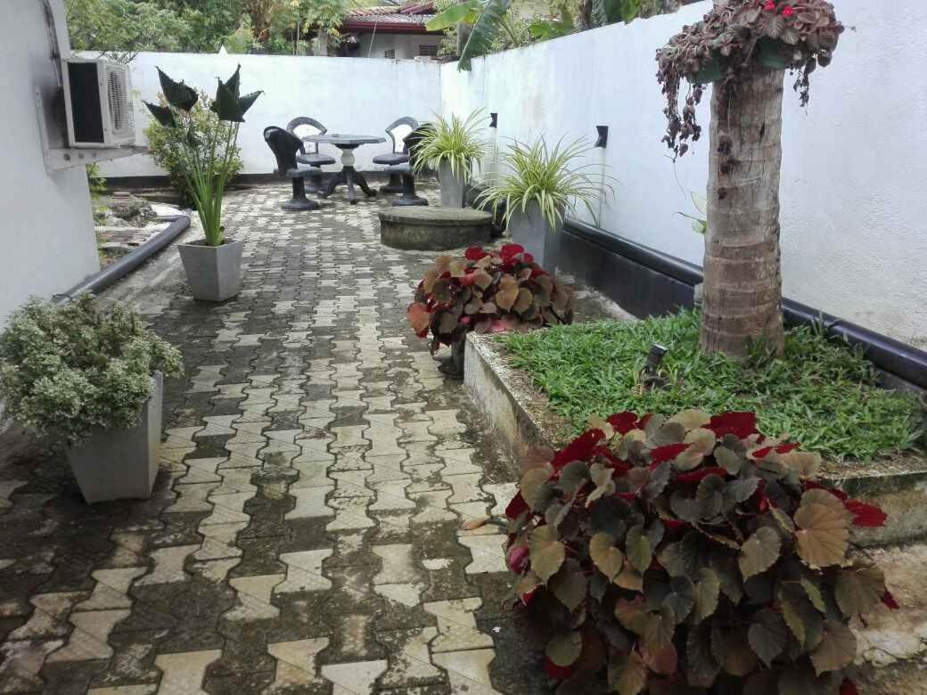 Dream Forest Rest Ahangama Luaran gambar